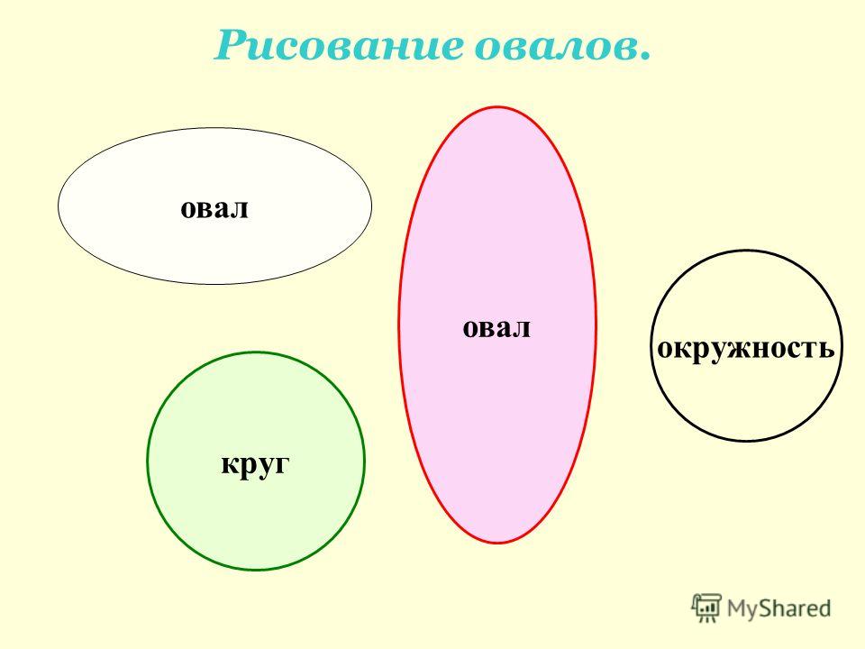 Овал правильной формы. Окружность овала. Эллипс и овал. Круг и овал. Овал и эллипс различия.