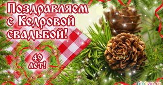 49 лет, годовщина свадьбы: поздравления, картинки — кедровая свадьба (12 фото)