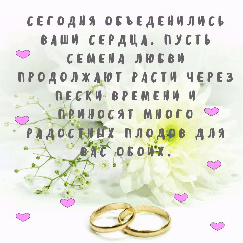 Полгода совместной жизни картинки