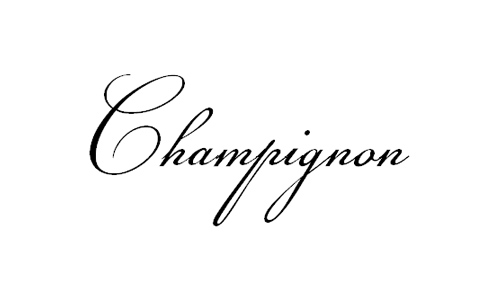 champignon font