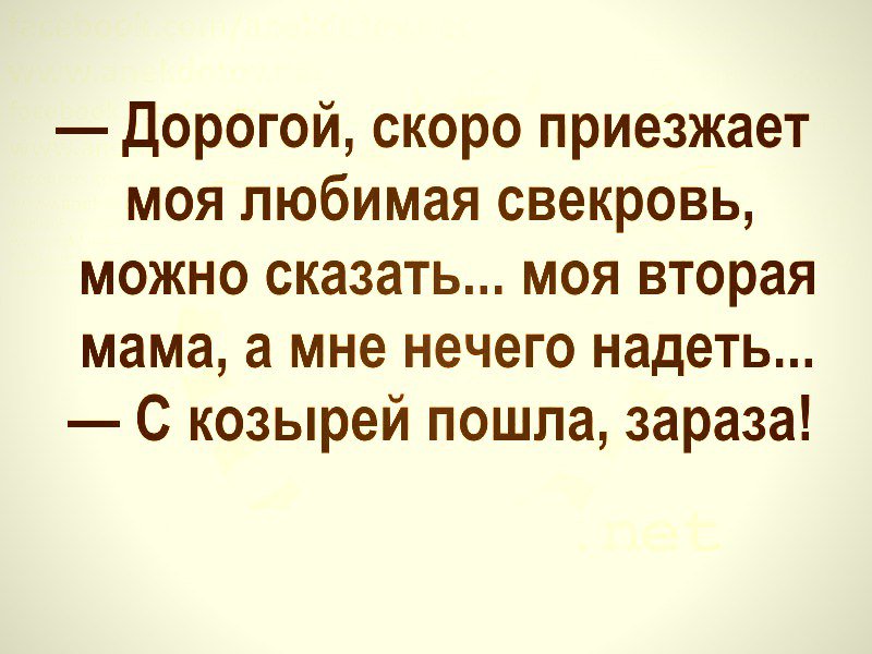 Смешные картинки про свекровь и невестку с надписями