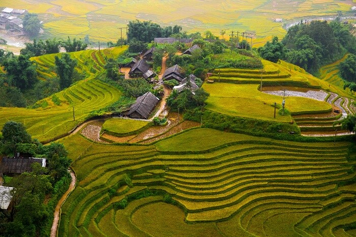 An aerial view of the beautiful terraced rice field of Sapa