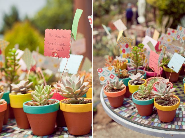 Succulents plant favors