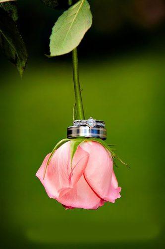 must take wedding photos wedding rings hanging on pink rose black forest photography